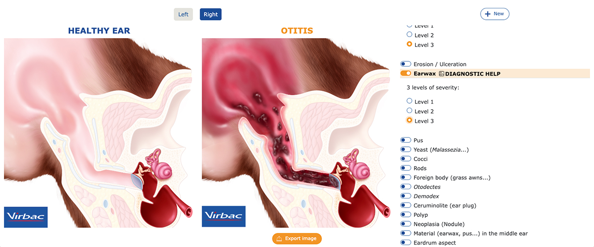 DIODツールの画面。左側に犬の耳道の画像があり、右側に症状名が並んでいる。